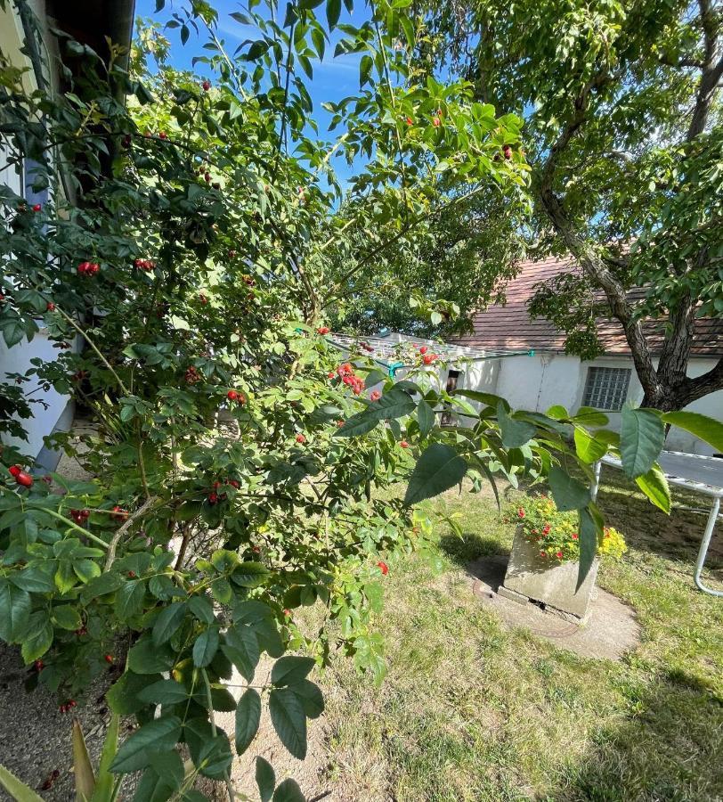 Ferienwohnung Rosenauer Purbach am Neusiedlersee Εξωτερικό φωτογραφία